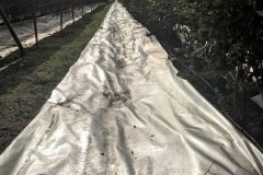 Refelective sheeting as ground mulch