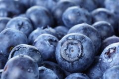 Blueberry close up