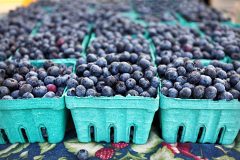 Berries in Punnet